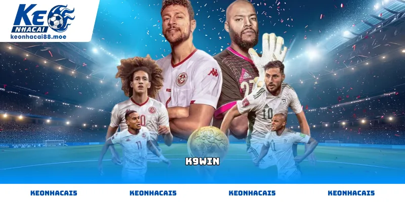 Kiểm tra giấy phép vận hành hợp pháp của K9WIN tại hệ thống