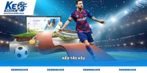 Cách kiểm tra thông số kèo tài xỉu minh bạch nhất