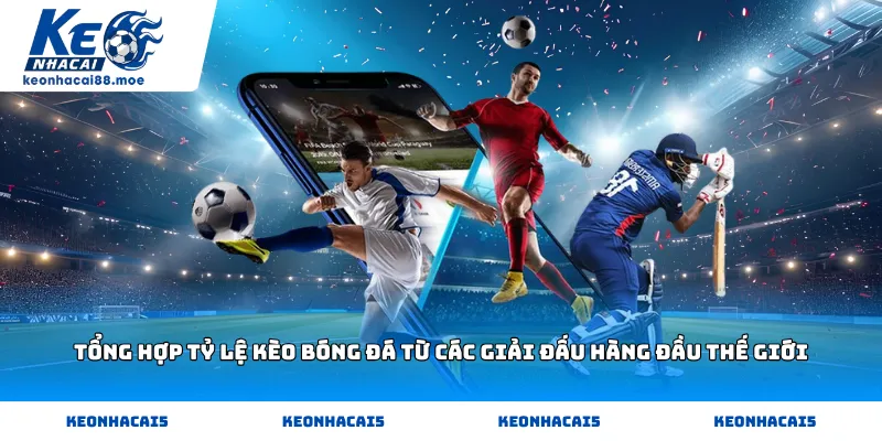 Tổng hợp tỷ lệ kèo bóng đá từ các giải đấu hàng đầu thế giới